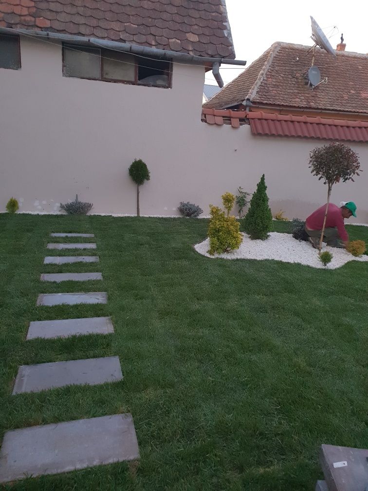PAVAJ, Plante Ornamentale,Irigatii Automatizate