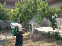 Садовник Обработка деревьев и кустарники дори сепиш хизмати Богбон