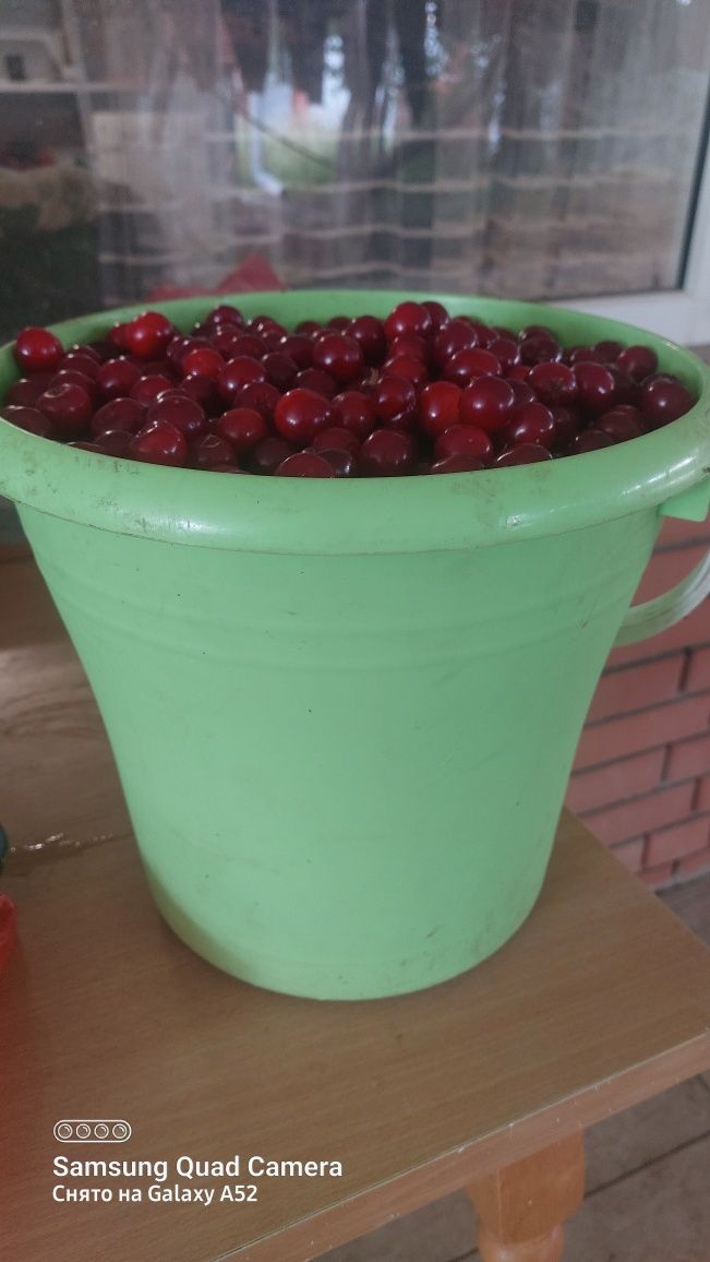 Продам вишню ,местную черешню ,очень сладкая для варенья самый раз.воз