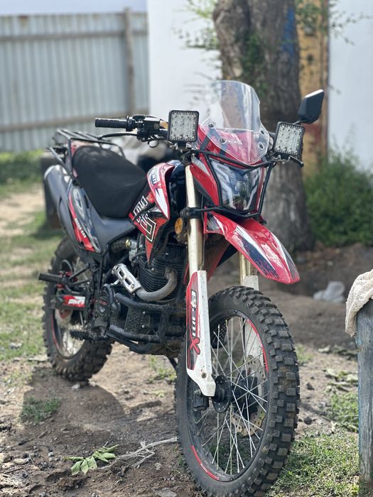BamX33 все докумен ест