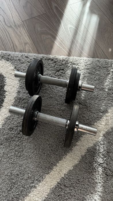 Gantere (12,5 kg total )