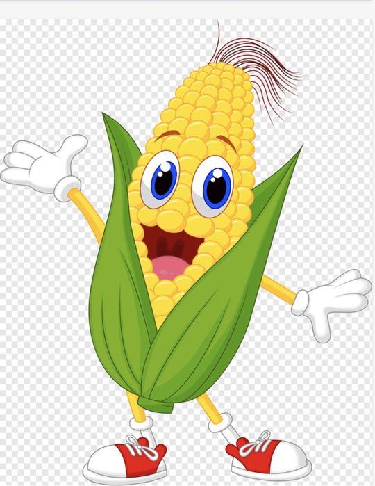 Porumb de fiert congelat - CALITATEA 1 !!!  LIVRARE IN TOATA TARA !!!