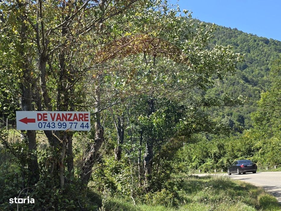 Teren 4,000mp Pascoaia / Soseaua Punctul Chiliilor