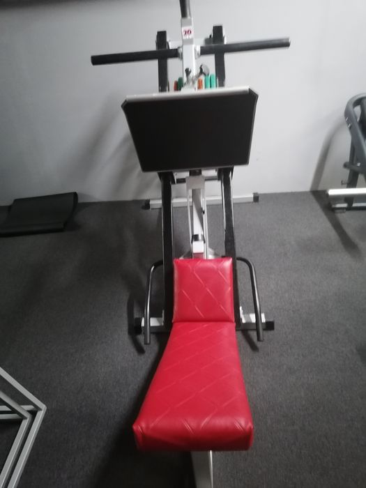 Aparat fitness Presa picioare