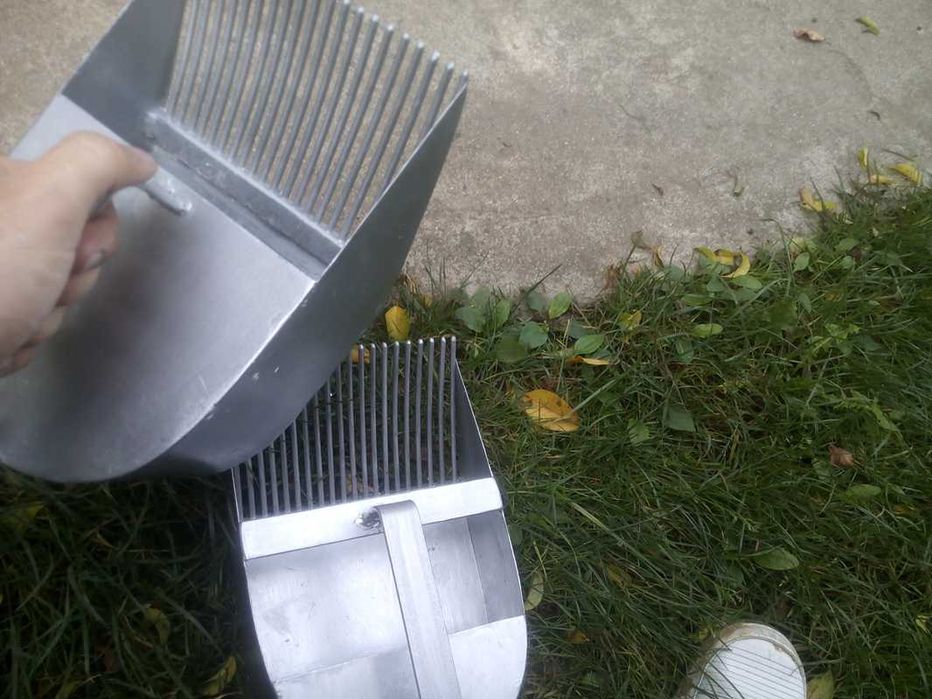 Piaptan de cules afine | musetel | coacaze | strugurei | nebunele