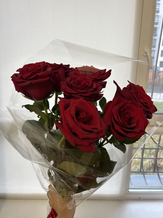 Цветы отдам за дешево, только 4 вида, красивые