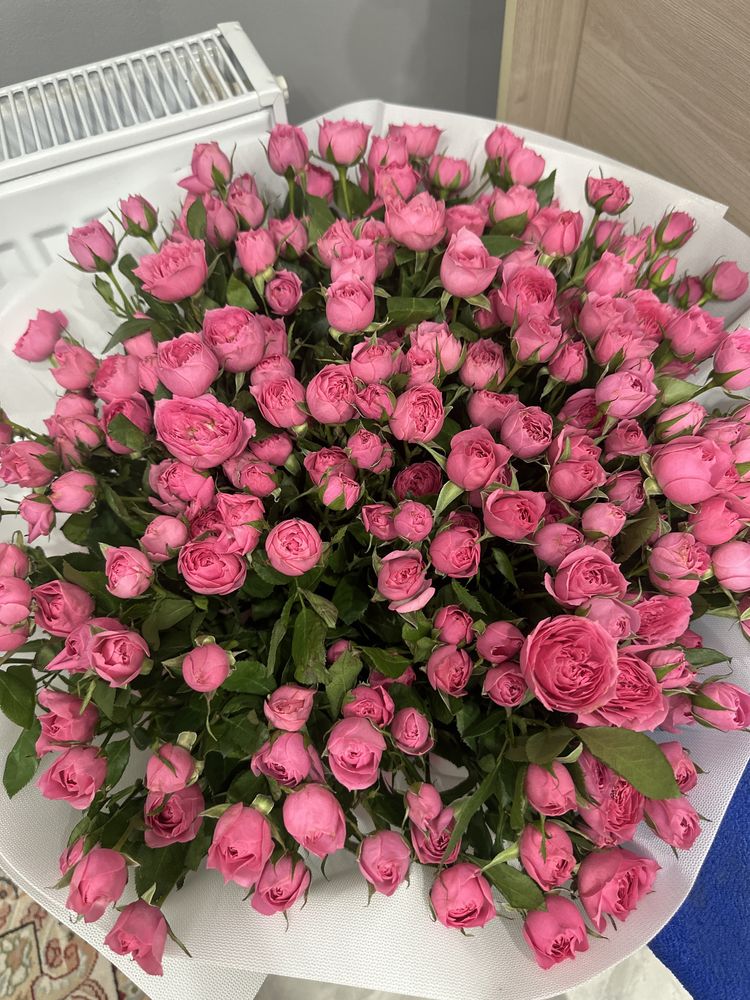 Цветы срочно продам