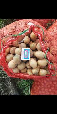 семяной картофель с доставкой