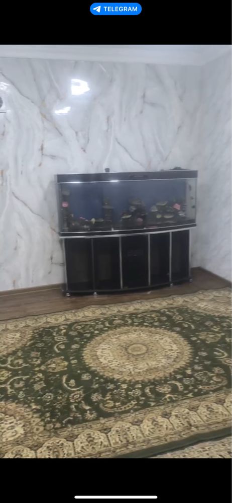 ofis beruniy arendaga beriladi
