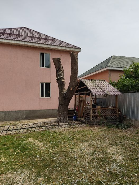 Спил деревьев обрезка дерево