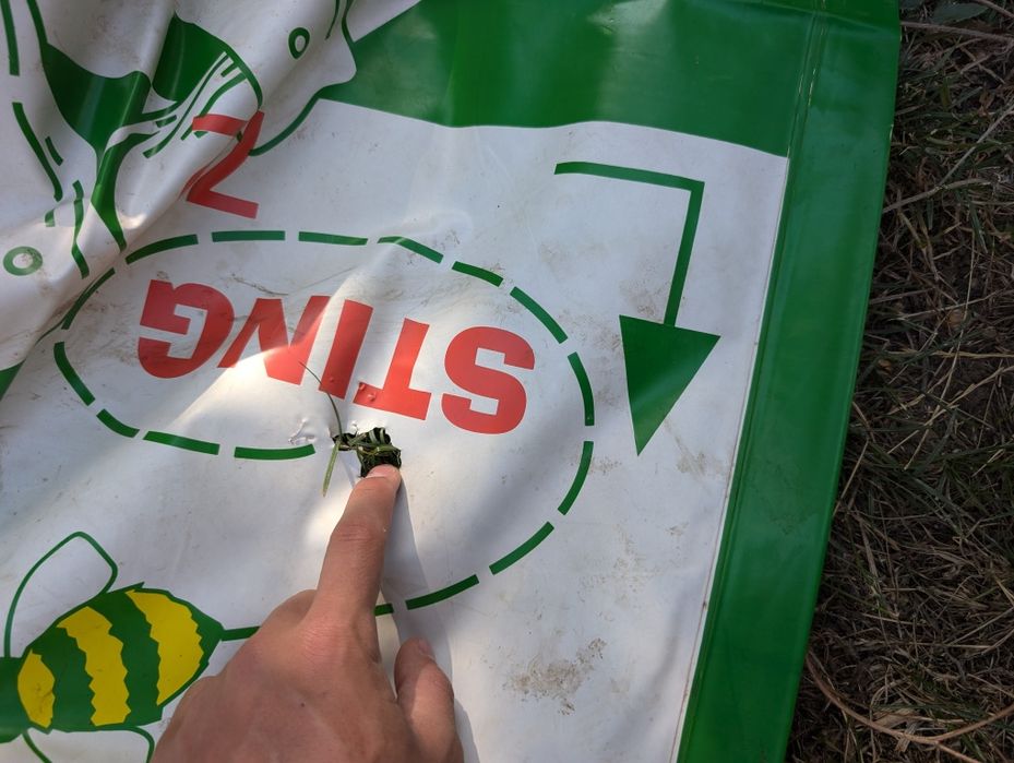 Joc de gradina dimensiune uriasa