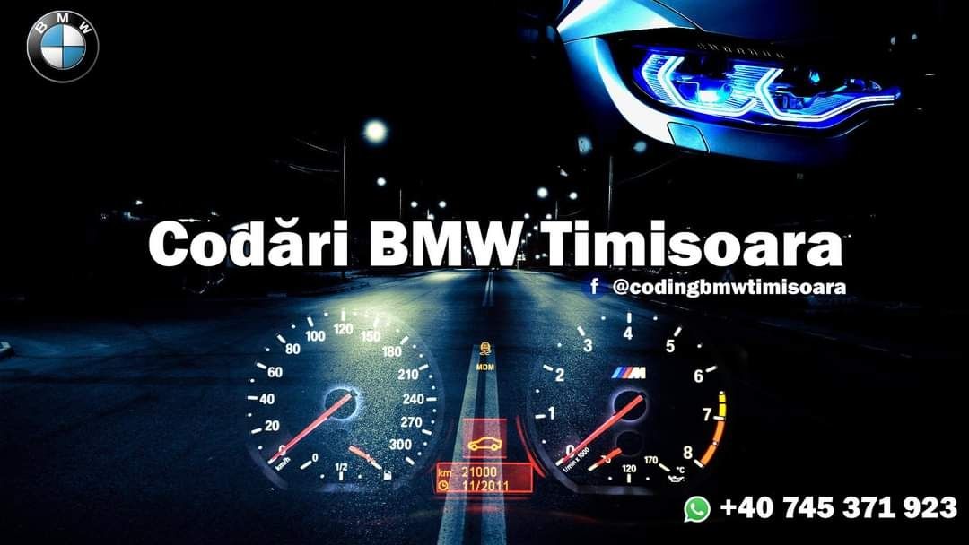 Codări și diagnoză BMW Timișoara