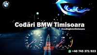 Codări și diagnoză BMW Timișoara
