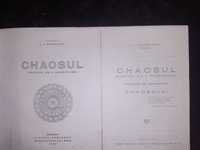 Chaosul, Spatiul cu 4 dimensiuni, I. Chitulescu, copie xerox