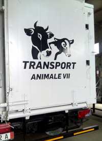Transport animale vii oi vaci struti cai remorca autorizata