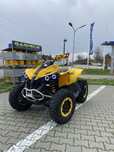 Can am Renegade 500