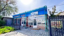 Продается частный дом с магазином в Центре, Анна Империя