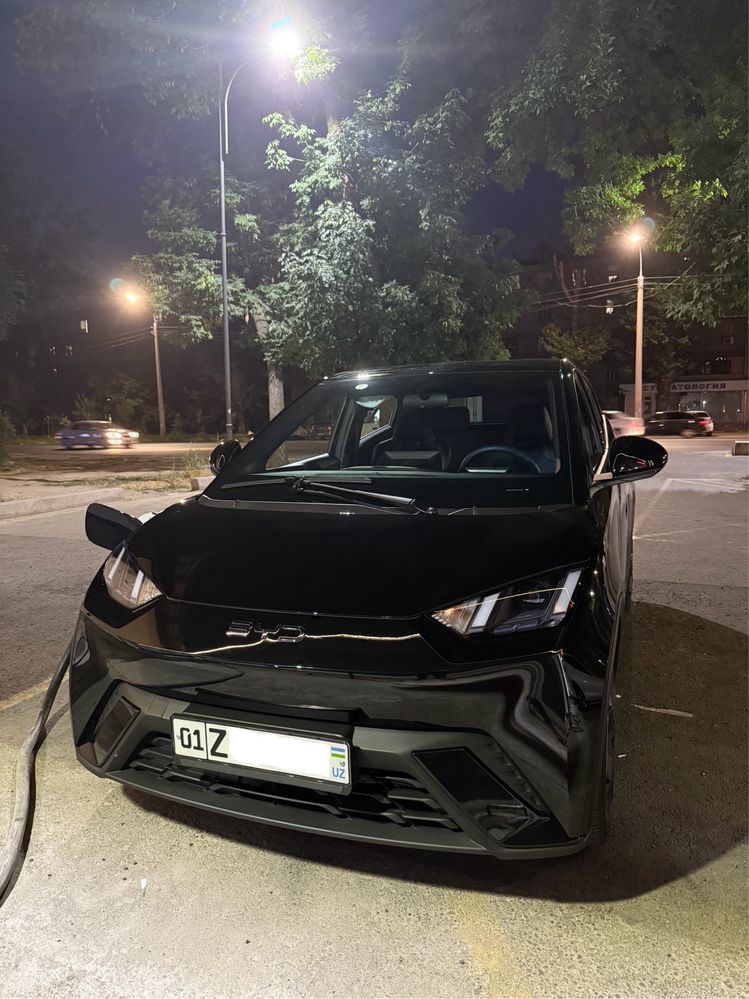 BYD Seagull 2024