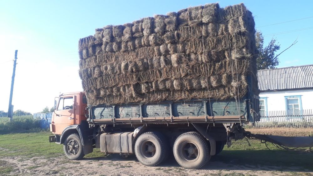 Продам сено в тюках оптом 250т.