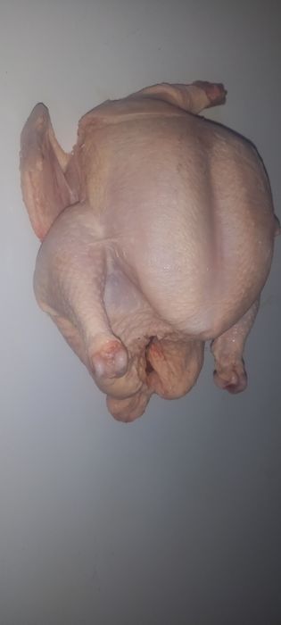 Мясо  бролера домашн.