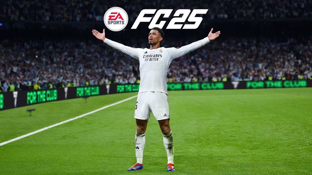 FC25 на PC (без онлайна)