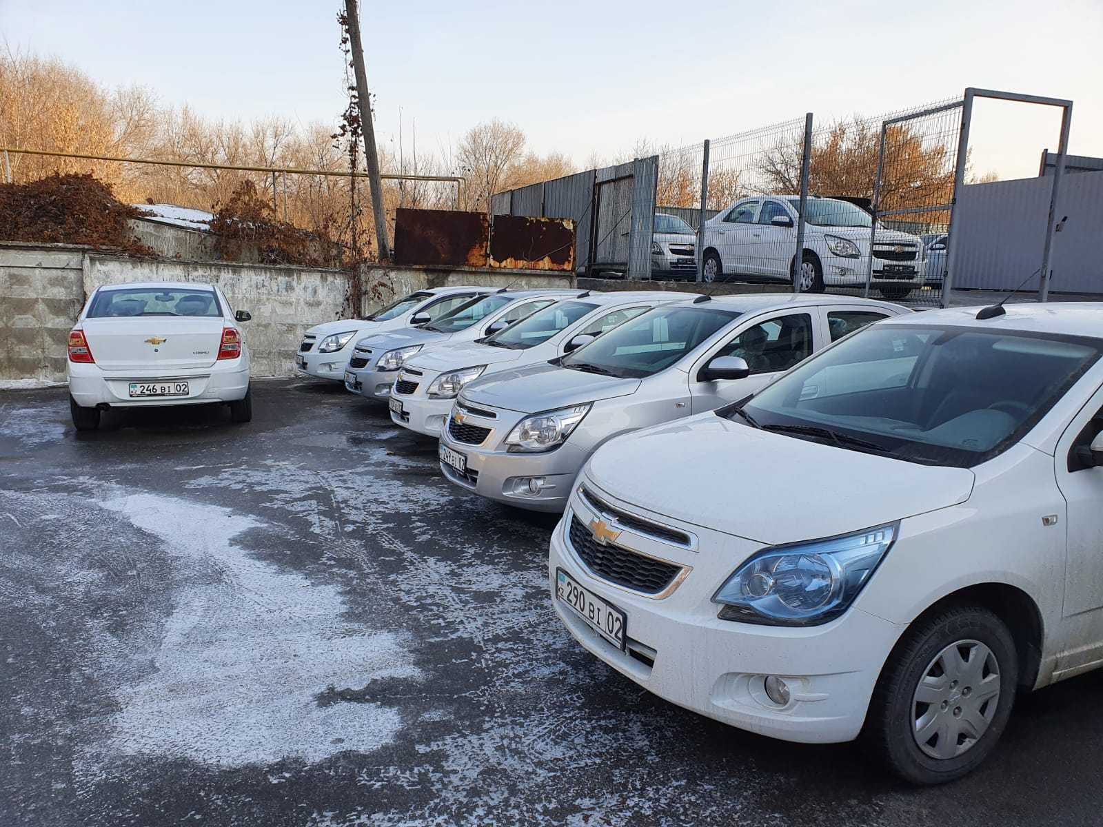 Акция, скидки на аренду авто