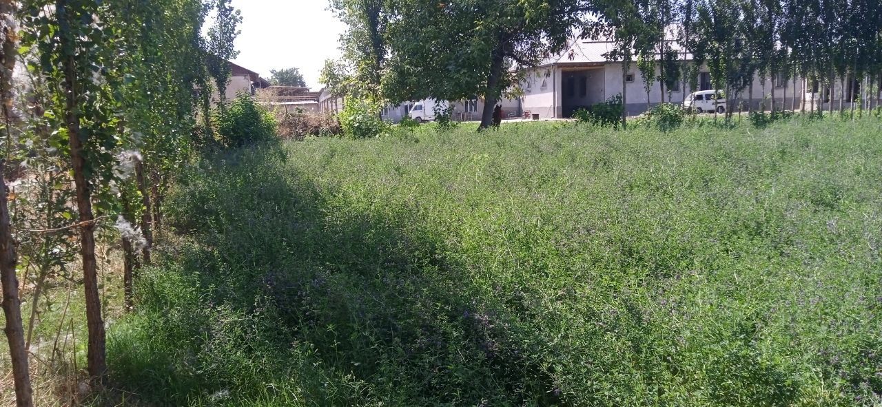 Участка сотилади