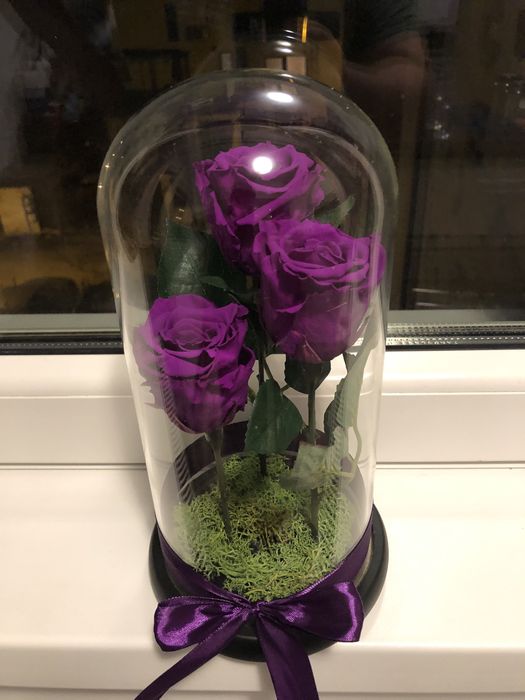 Cupole cu trandafiri criogenati conservati