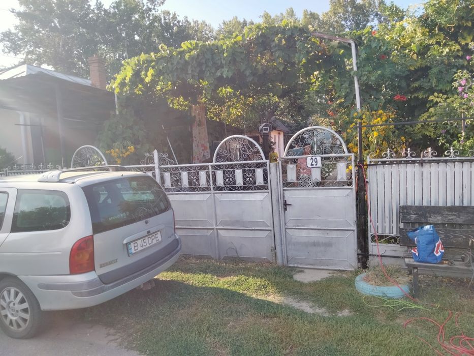 Gard și porți din fier
