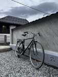 Bicicleta de oras