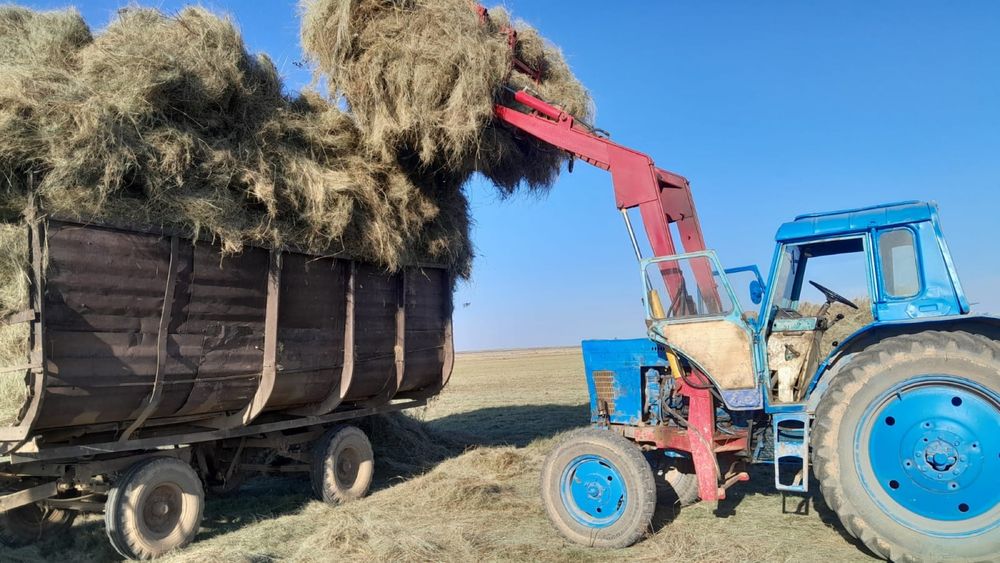 Продается трактор МТЗ - 80 с полным набором навесного оборудования.