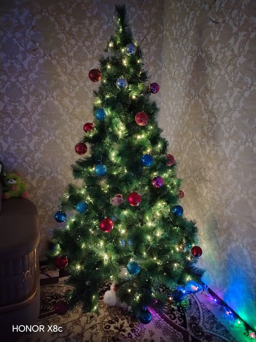 Yangi yil uchun Archa sotiladi