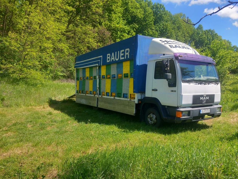 Vând familii de albine si camion apicol