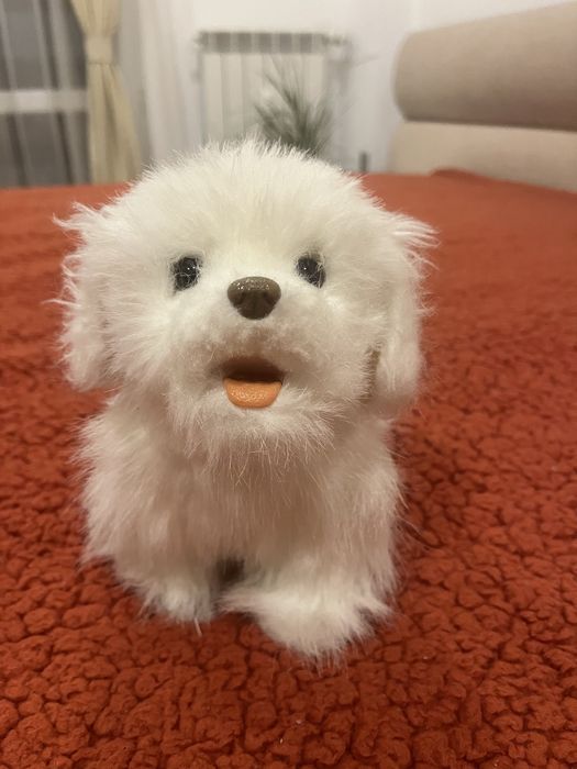 Интерактивно коте и куче