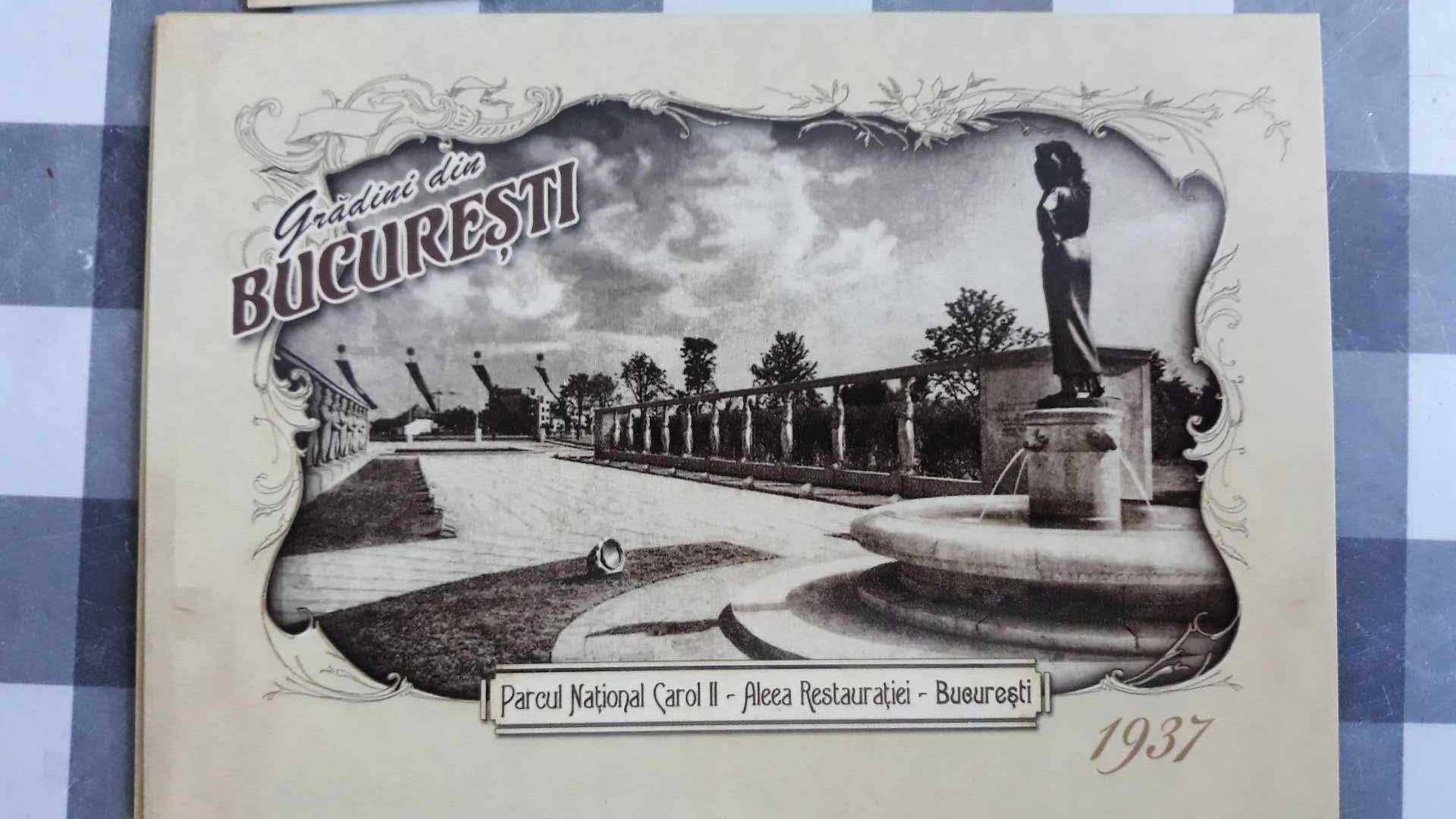 Carti postale noi cu poze vechi din parcuri, Bucurestiul de altadata.