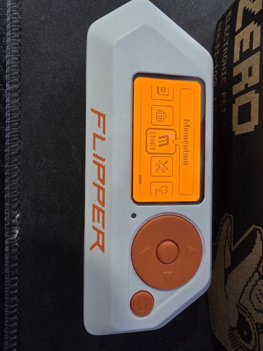 Flipper Zero + Developer board + memory card