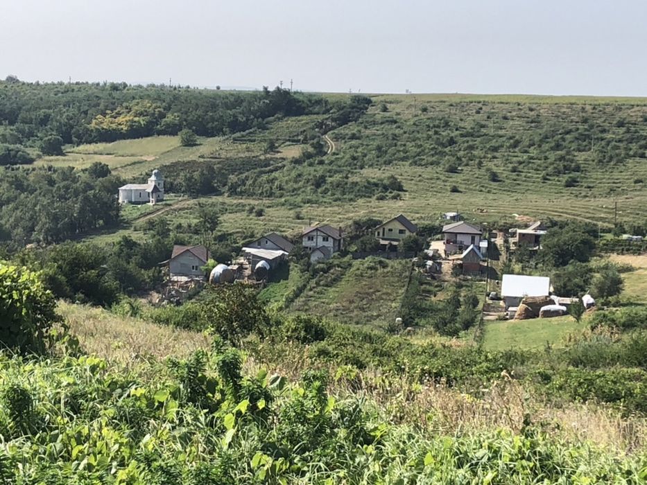 19.000 m2  Sorogari comuna Aroneanu Iasi la 200 m de asfalt