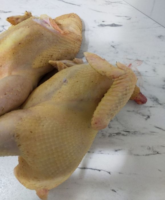 Pasari pui/gaini/cocosi