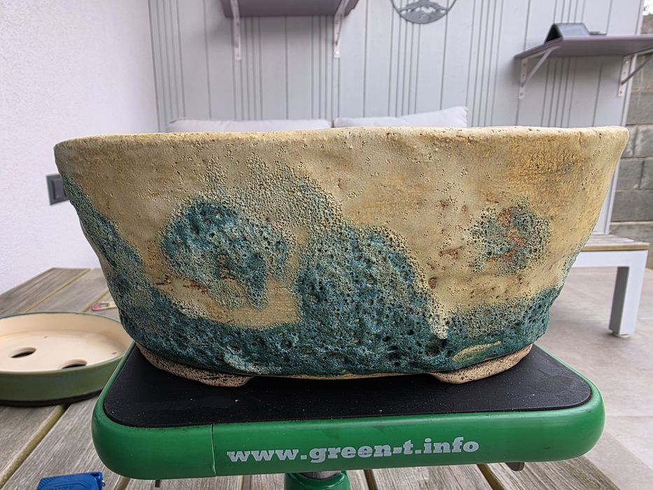 Vand vas pentru bonsai