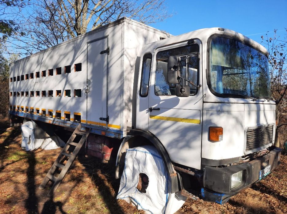 Man 16 t Camion apicol