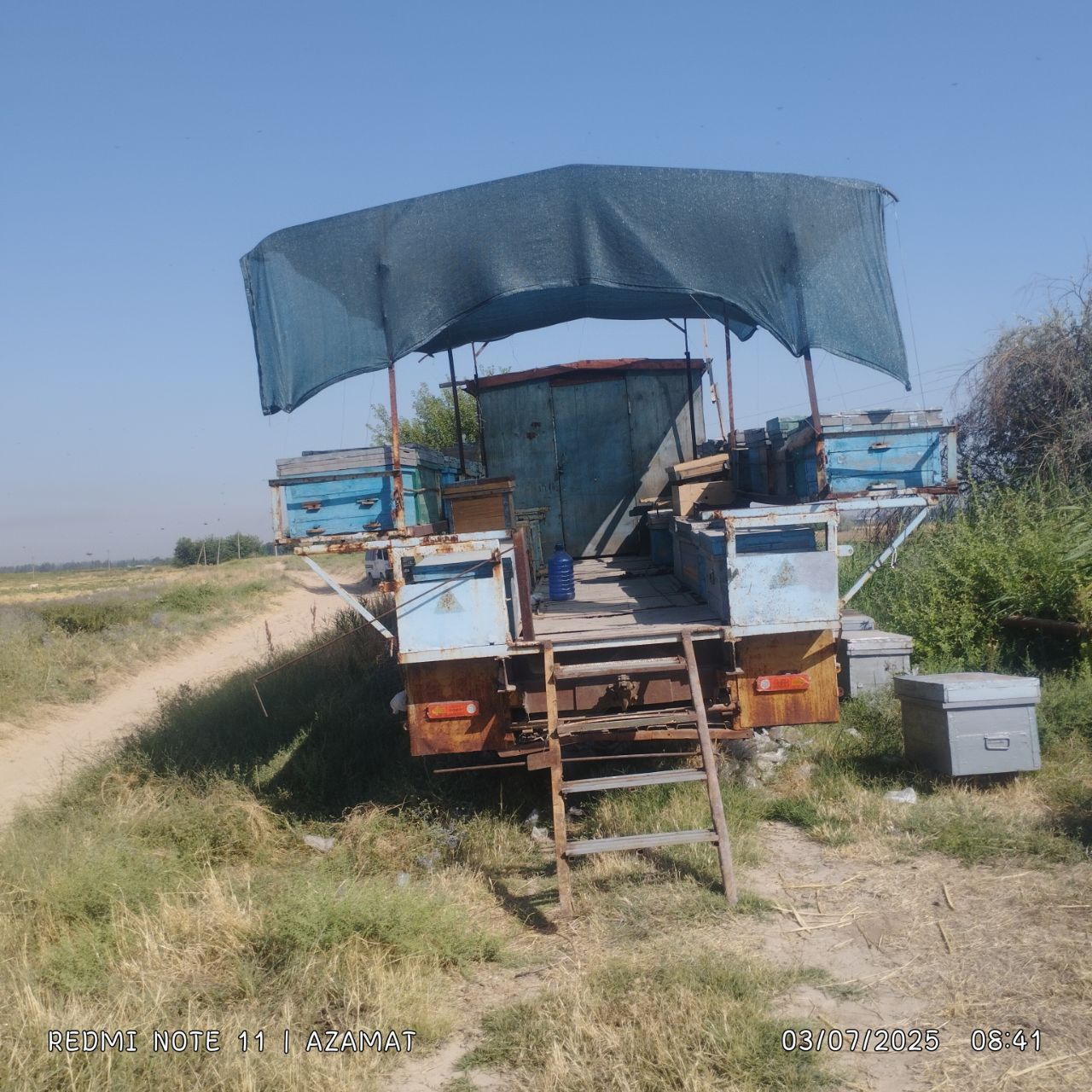 Asalari oilasi vagon bilan