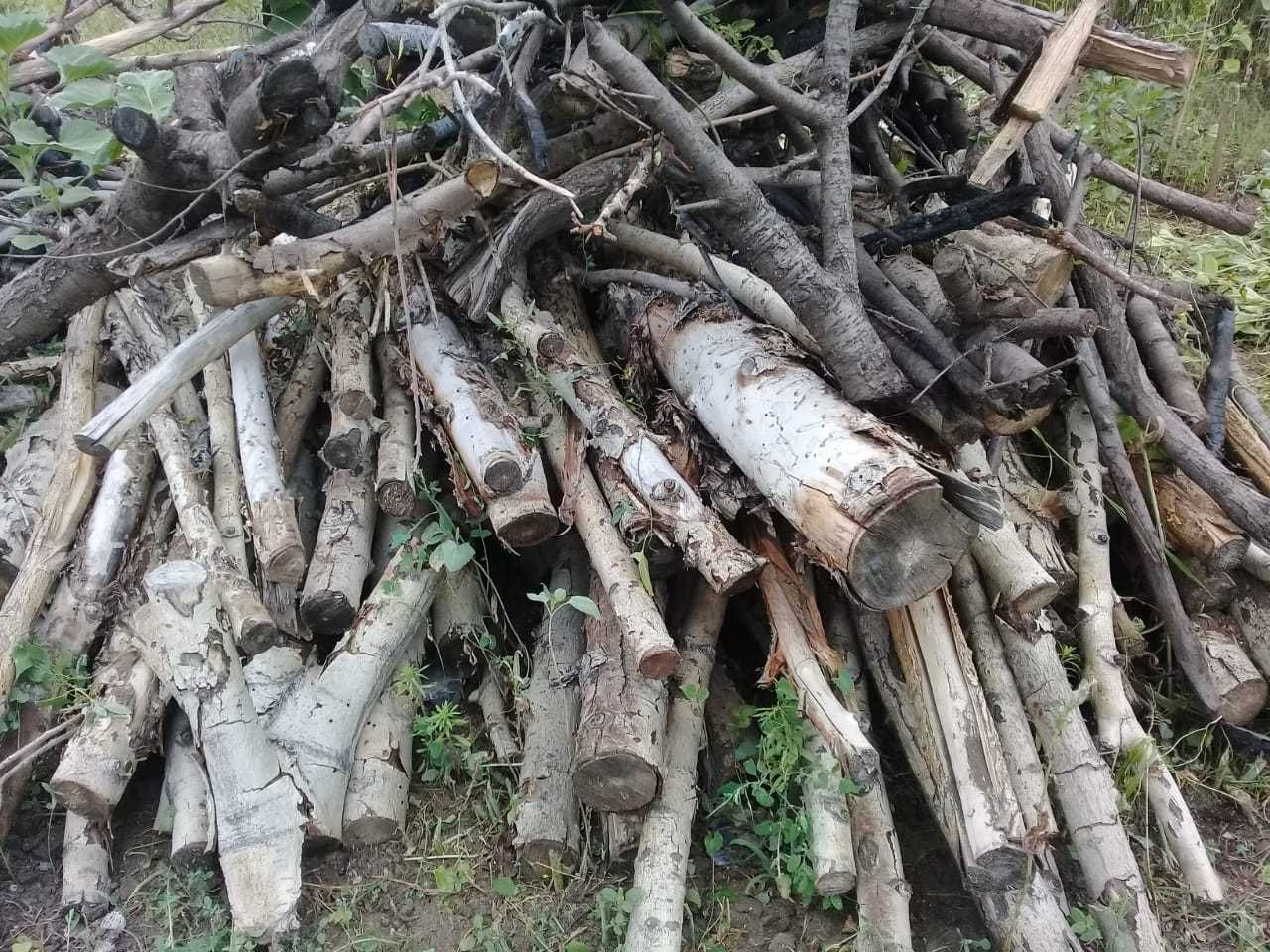 Отдам бесплатно дрова на зиму