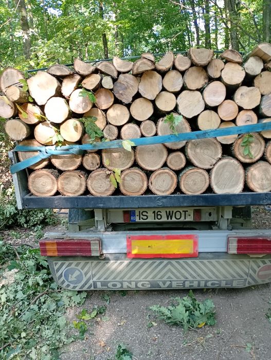 Lemne de foc carpăn frasan stejar