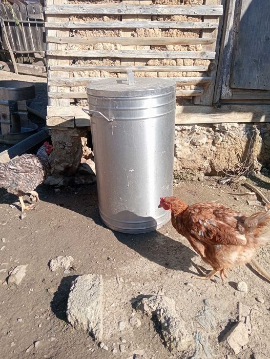 Marmite inox pentru mulgătoare sau transport  lapte