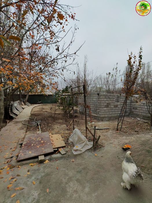 Продаётся  Дом Участок Юкори Чирчик-й р-н Балта