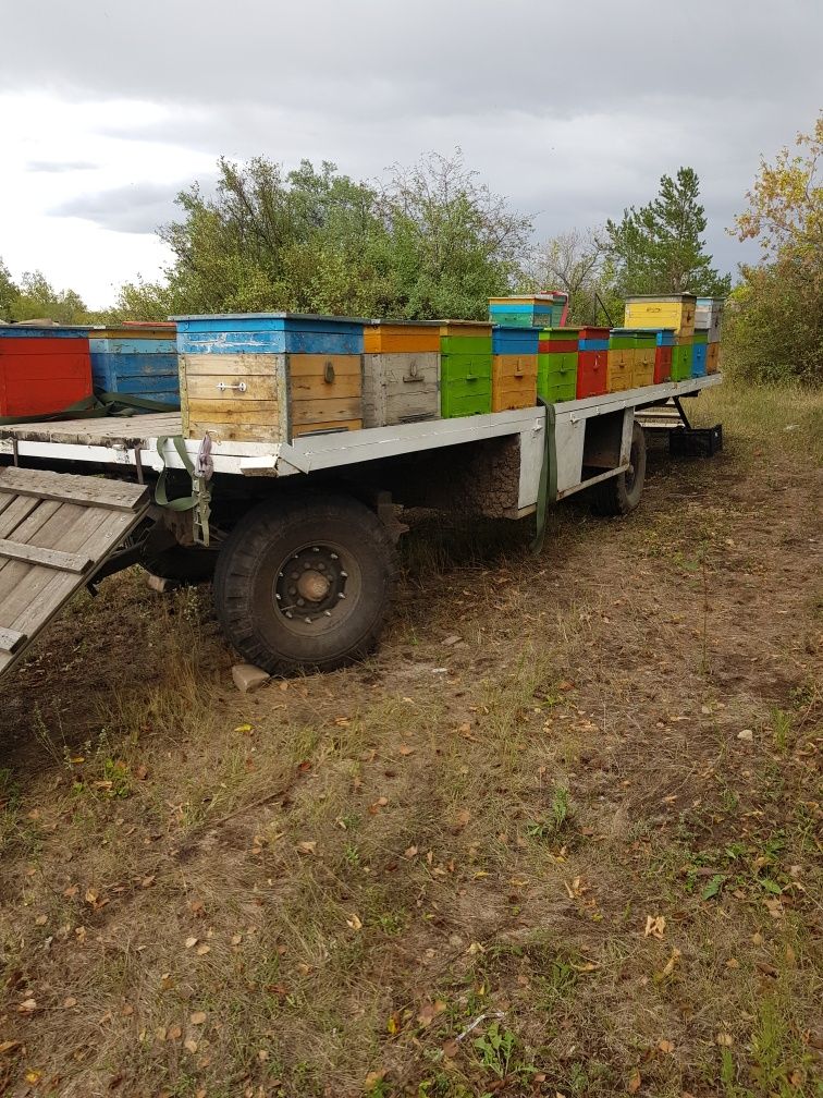 Прицеп пчеловодческий