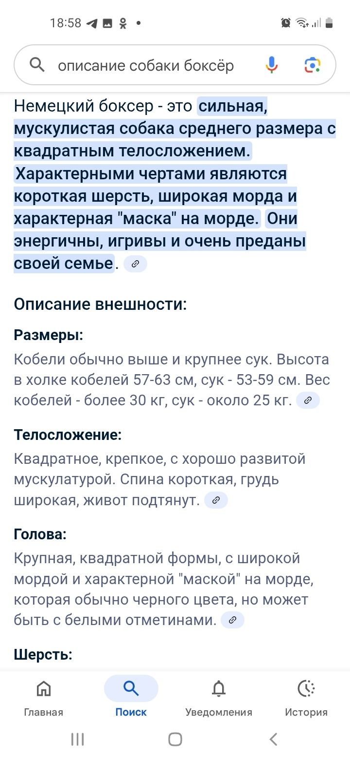 Собака боксер продаю