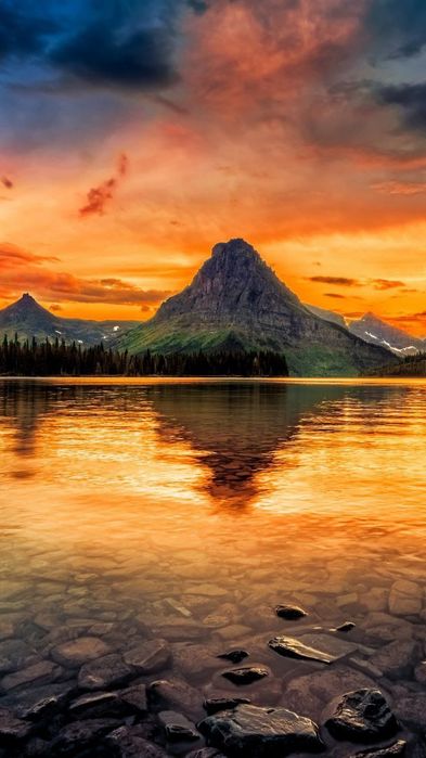 Средство от подагры