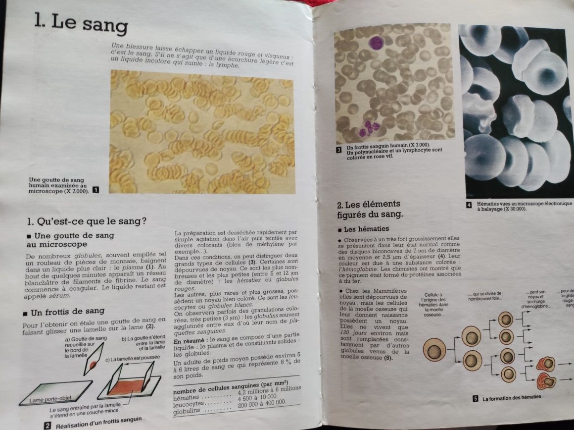 Carte veche 1980 in limba franceza manual biologie geologie