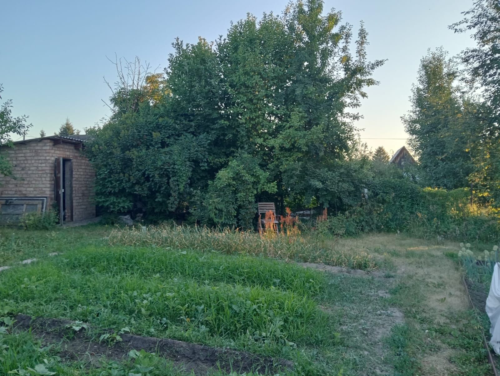 Продается дача в СО " Колос"